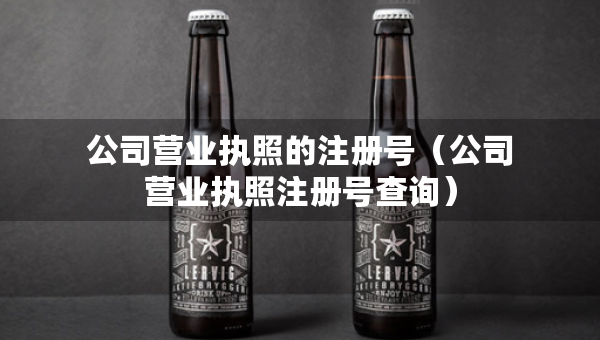 公司营业执照的注册号（公司营业执照注册号查询）