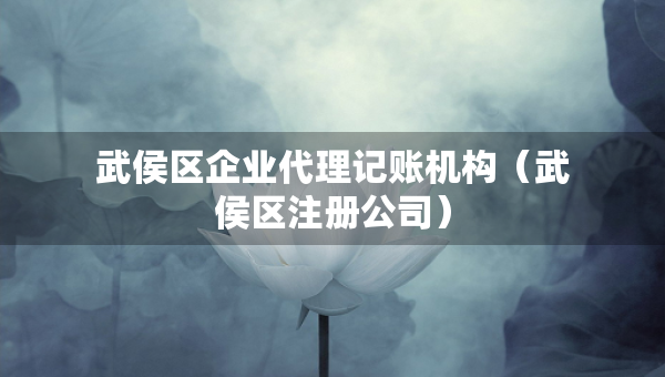 武侯区企业代理记账机构（武侯区注册公司）