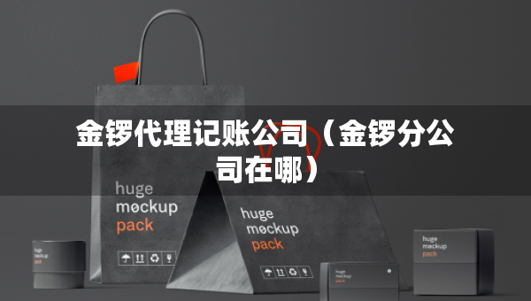 金锣代理记账公司（金锣分公司在哪）
