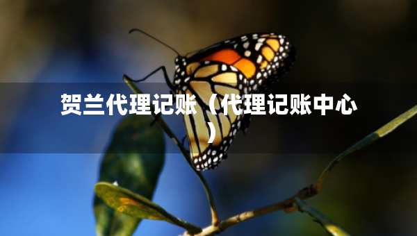 贺兰代理记账（代理记账中心）