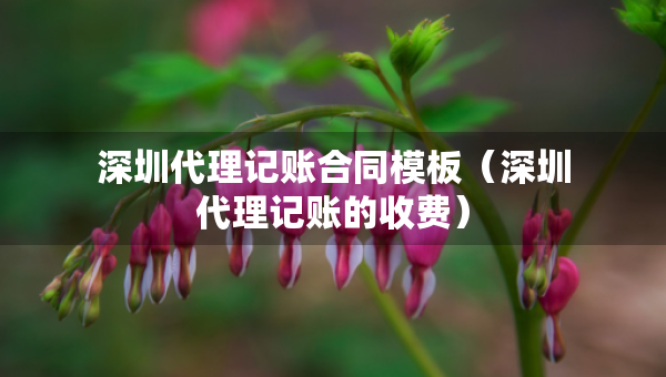 深圳代理记账合同模板（深圳代理记账的收费）