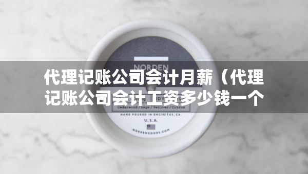 代理记账公司会计月薪（代理记账公司会计工资多少钱一个月）