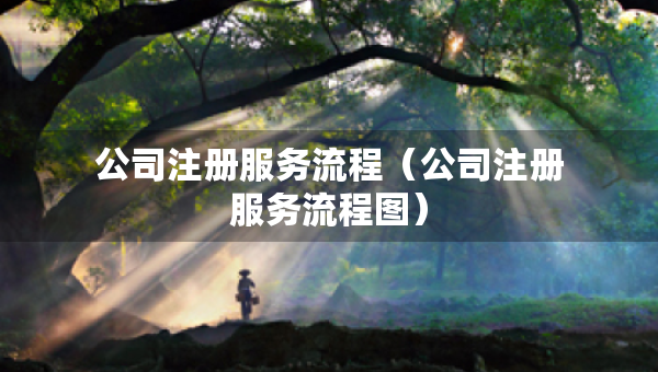 公司注册服务流程（公司注册服务流程图）