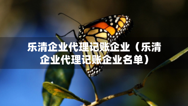 乐清企业代理记账企业（乐清企业代理记账企业名单）