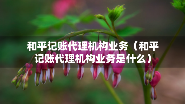 和平记账代理机构业务（和平记账代理机构业务是什么）