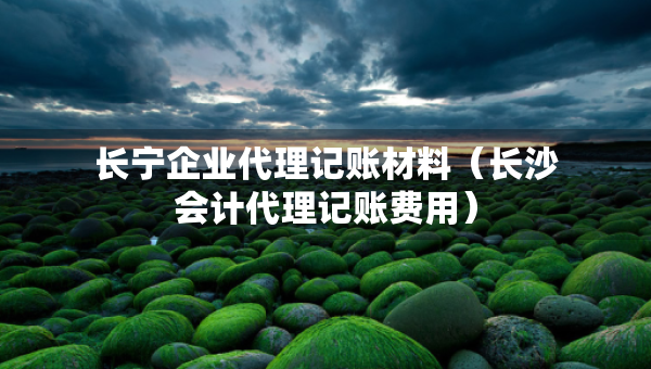 长宁企业代理记账材料（长沙会计代理记账费用）