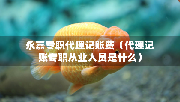 永嘉专职代理记账费（代理记账专职从业人员是什么）