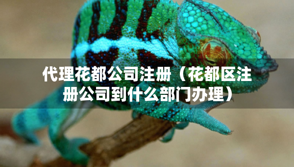 代理花都公司注册（花都区注册公司到什么部门办理）