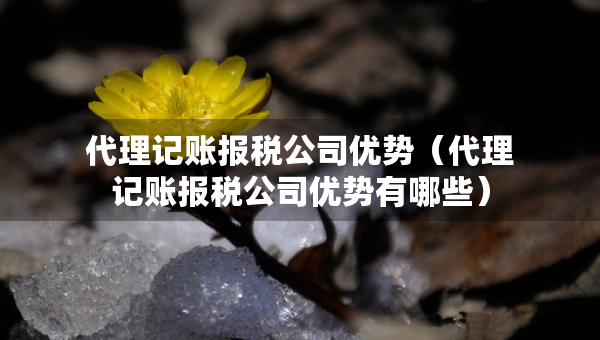 代理记账报税公司优势（代理记账报税公司优势有哪些）