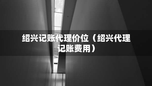 绍兴记账代理价位（绍兴代理记账费用）