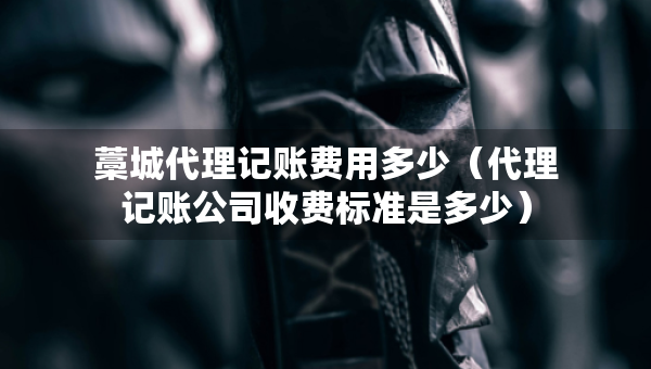 藁城代理记账费用多少（代理记账公司收费标准是多少）