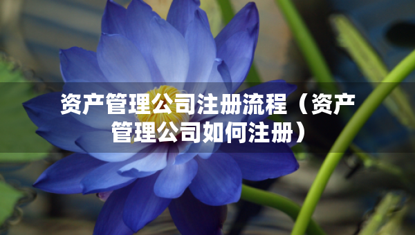 资产管理公司注册流程（资产管理公司如何注册）