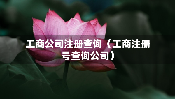 工商公司注册查询（工商注册号查询公司）