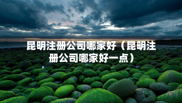昆明注册公司哪家好（昆明注册公司哪家好一点）