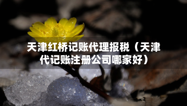 天津红桥记账代理报税（天津代记账注册公司哪家好）