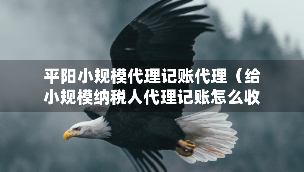 平阳小规模代理记账代理（给小规模纳税人代理记账怎么收费）