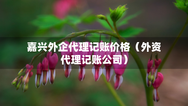 嘉兴外企代理记账价格（外资代理记账公司）