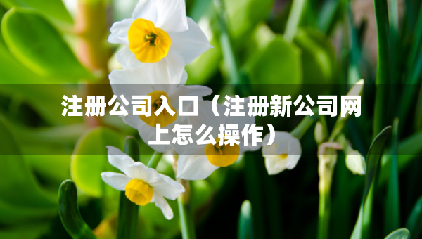 注册公司入口（注册新公司网上怎么操作）