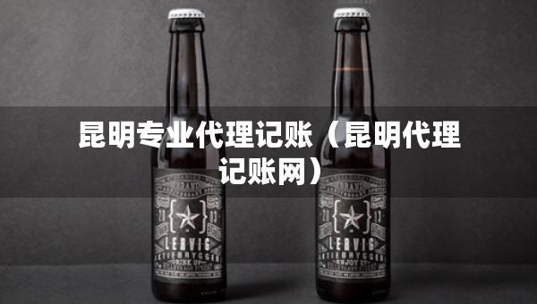 昆明专业代理记账（昆明代理记账网）