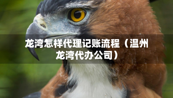 龙湾怎样代理记账流程（温州龙湾代办公司）