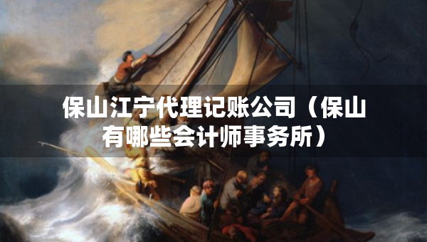 保山江宁代理记账公司（保山有哪些会计师事务所）