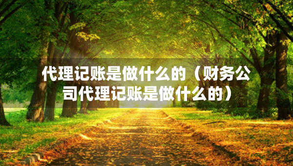 代理记账是做什么的（财务公司代理记账是做什么的）