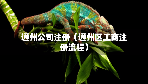 通州公司注册（通州区工商注册流程）