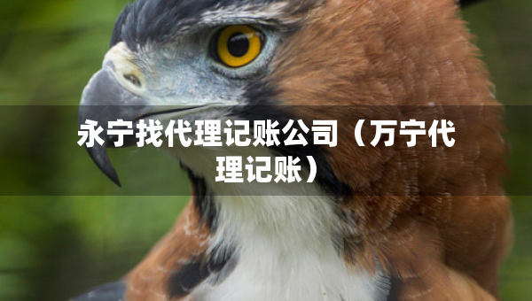 永宁找代理记账公司（万宁代理记账）