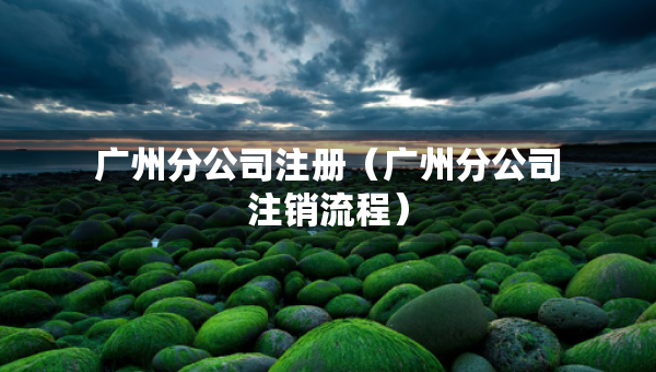 广州分公司注册（广州分公司注销流程）