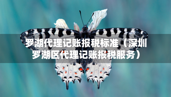 罗湖代理记账报税标准（深圳罗湖区代理记账报税服务）