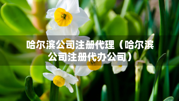 哈尔滨公司注册代理（哈尔滨公司注册代办公司）