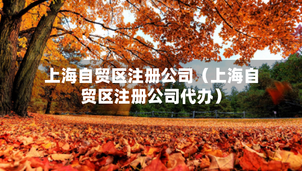 上海自贸区注册公司（上海自贸区注册公司代办）