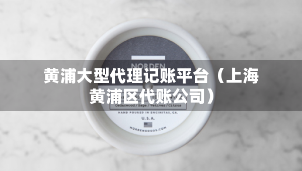 黄浦大型代理记账平台（上海黄浦区代账公司）