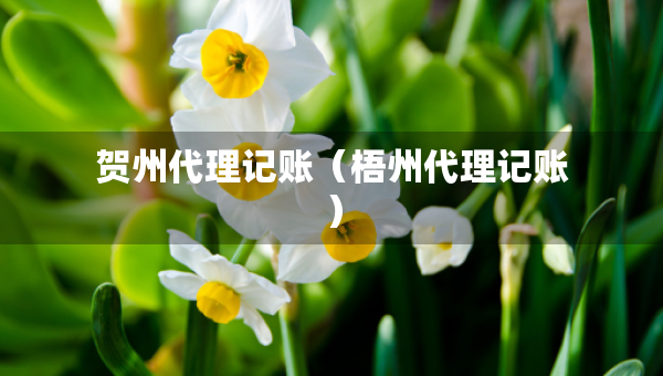 贺州代理记账（梧州代理记账）