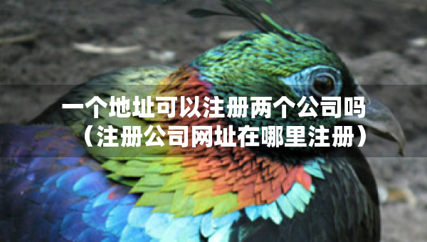 一个地址可以注册两个公司吗（注册公司网址在哪里注册）