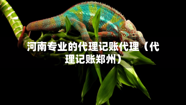 河南专业的代理记账代理（代理记账郑州）