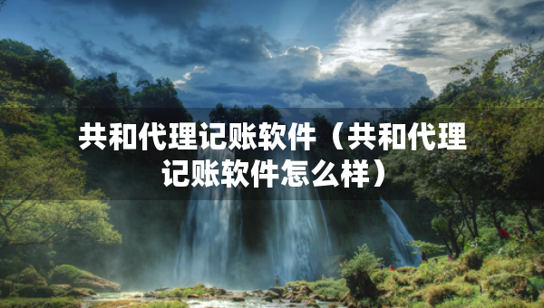 共和代理记账软件（共和代理记账软件怎么样）