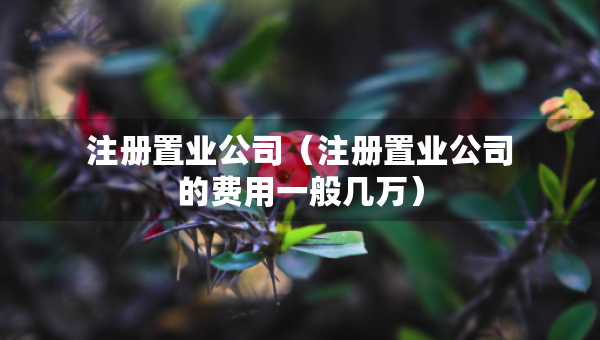 注册置业公司（注册置业公司的费用一般几万）