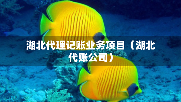 湖北代理记账业务项目（湖北代账公司）