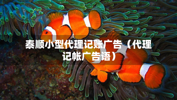 泰顺小型代理记账广告（代理记帐广告语）