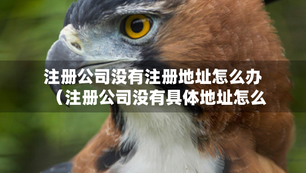 注册公司没有注册地址怎么办（注册公司没有具体地址怎么办）