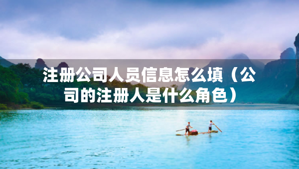 注册公司人员信息怎么填（公司的注册人是什么角色）