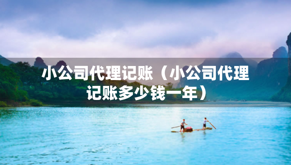 小公司代理记账（小公司代理记账多少钱一年）