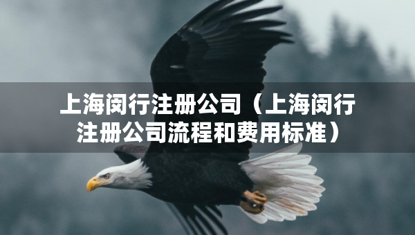 上海闵行注册公司（上海闵行注册公司流程和费用标准）