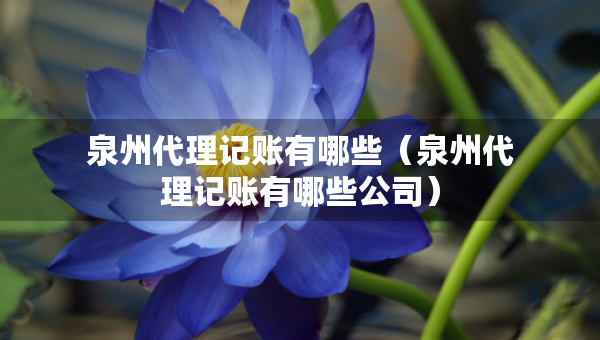 泉州代理记账有哪些（泉州代理记账有哪些公司）