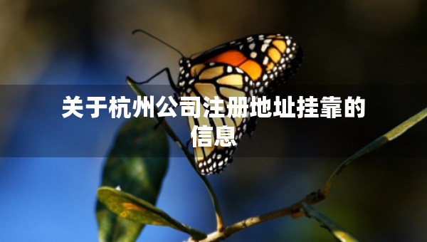 关于杭州公司注册地址挂靠的信息
