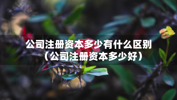公司注册资本多少有什么区别（公司注册资本多少好）