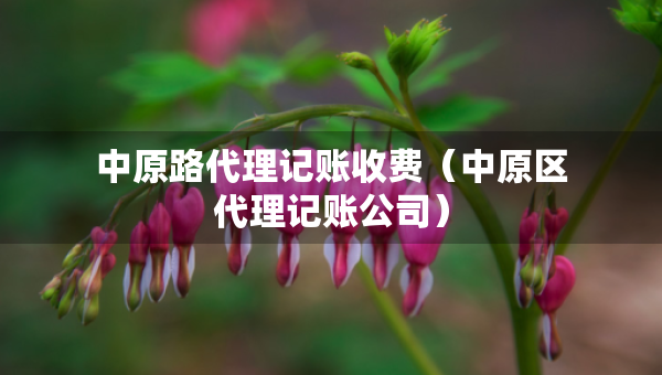 中原路代理记账收费（中原区代理记账公司）