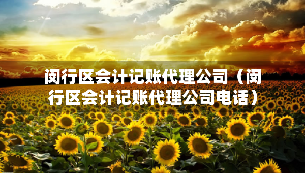 闵行区会计记账代理公司（闵行区会计记账代理公司电话）