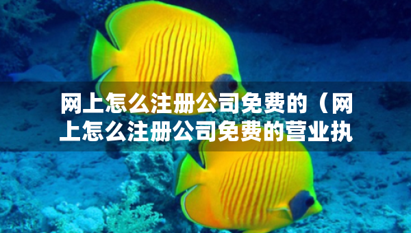 网上怎么注册公司免费的（网上怎么注册公司免费的营业执照）
